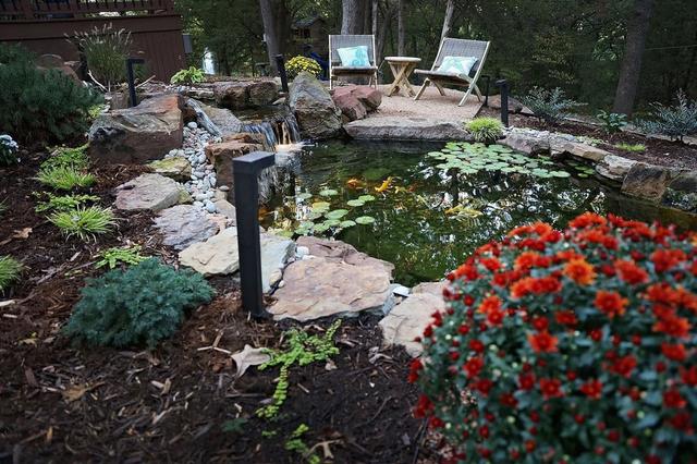 Backyard Pond Maintenance - Backyard Depot