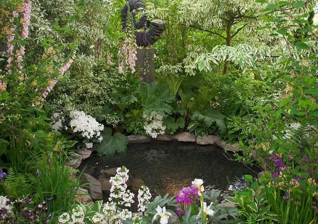 Pond Repair and Maintenance - Backyard Depot