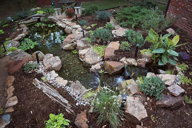 Backyard Pond Maintenance - Backyard Depot