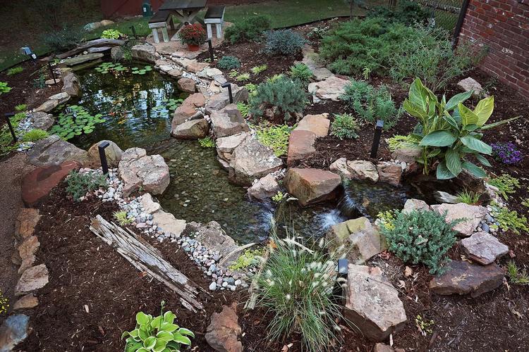 Backyard Pond Maintenance - Backyard Depot