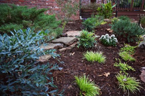 Professional Landscaping - Backyard Depot